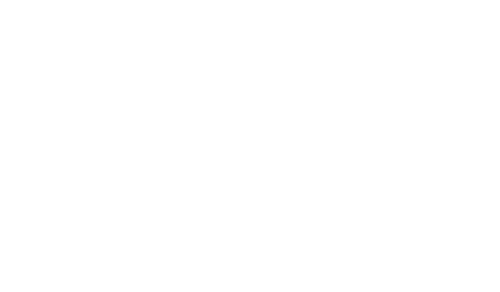 Logo Vision Components